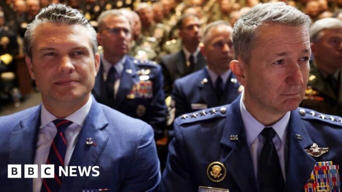 Como coletar o Hillema dos roedores acima